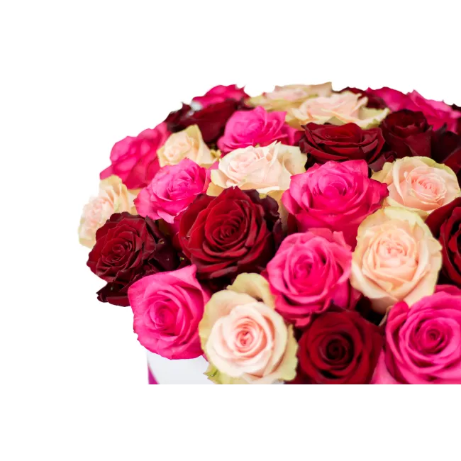 Květinový box růží